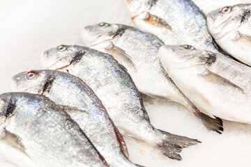 Fresh chilled whole white fish on ice. Healthy foods and vitamins. Close-up.
