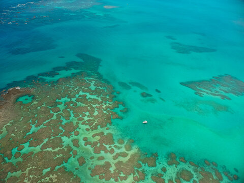 Maragogi, Alagoas. The Brazilian Caribbean. The success of Maragogi is mainly due to its crystalline waters, which at low tide form beautiful natural pools full of small fish. 