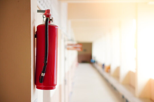 Fire extinguishers are mounted on a corridor on the wall.