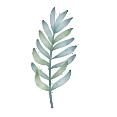 watercolor leaves isolated on white