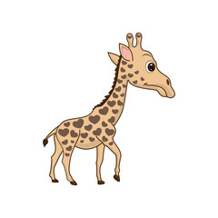 Obraz premium Cute giraffe in cartoon style isolated. Giraffe mascot on white background illustration