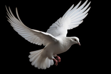 Wings of Peace: The Symbolism and Significance of Doves AI Generated