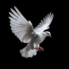 Fototapeta na wymiar Wings of Peace: The Symbolism and Significance of Doves AI Generated