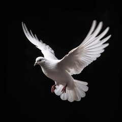 Wings of Peace: The Symbolism and Significance of Doves AI Generated