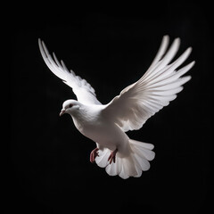 Fototapeta premium Wings of Peace: The Symbolism and Significance of Doves AI Generated