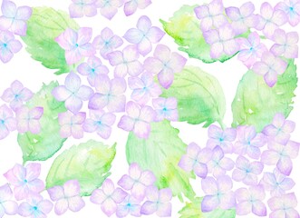 上から見た紫陽花畑の水彩イラスト