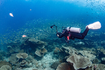 Underwater photography concept. Female diver with camera and strobe lights swimming over lettuce leaf coral and school of fish taking a stunning shot of the Gulf of Thailand.
