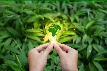 Renewable Energy. Hand holding light bulb and have green world map with icons energy sources for...
