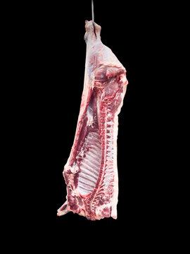 Meat industry. Beef meat hanging. Cattles cut and hanged on hook in a slaughterhouse isolated on a black background. Fresh lamb and raw meat. Сow carcass isolated.