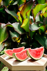 fresh fruit watermelon