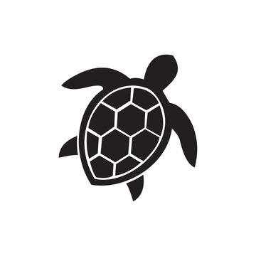 sea turtle icon symbol