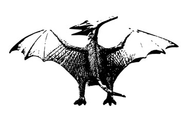 black dinosaur silhouette isolated on white background, model of pteranodon toys © sutichak