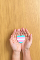 Transgender Day and LGBT pride month,  LGBTQ+ or LGBTQIA+ concept. hand holding blue, pink and white heart shape for Lesbian, Gay, Bisexual, Transgender, Queer and Pansexual community
