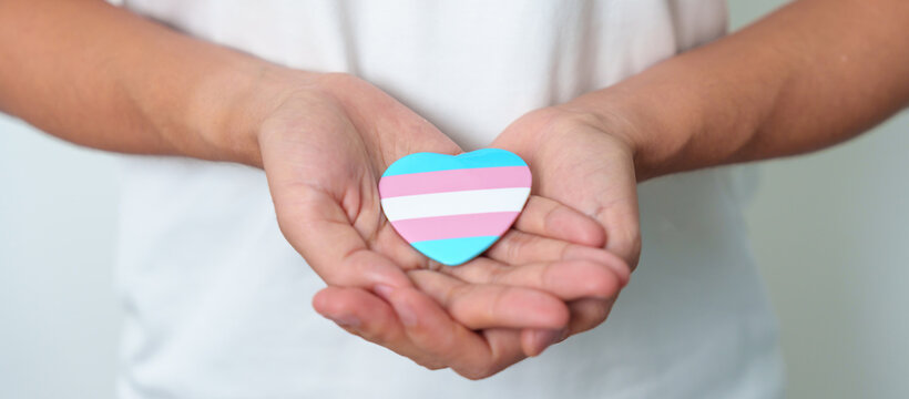 Transgender Day and LGBT pride month,  LGBTQ+ or LGBTQIA+ concept. hand holding blue, pink and white heart shape for Lesbian, Gay, Bisexual, Transgender, Queer and Pansexual community