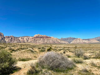 Fototapeta na wymiar Desert landscape with mountains