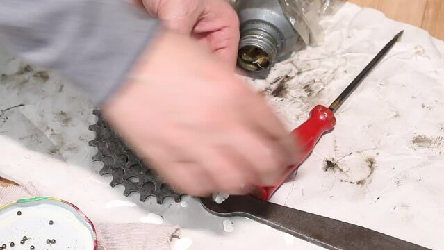 A man places bearing o-rings into the ratchet of a mountain bike rear wheel. Do-it-yourself mountain bike repair at home. Close-up.