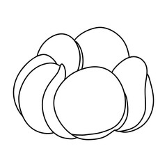 Cotton Flower, Mother's Day Element, Hand Drawn Illustration