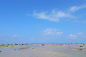 岩が点在する遠浅の海の風景