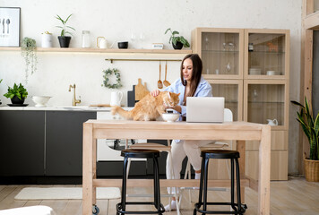 young pregnant woman freelancer work from home at laptop. Work or study online with pet at home office on kitchen.
