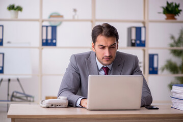 Young male employee working in the office