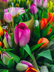 Obraz na płótnie Canvas Set of bouquets of tulips of different colors, tulips bouquet. Present for March 8, International Women's Day. Holiday decor with flowers selling. Bouquet with colorful tulips. Holiday floral decor