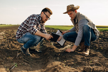 Two farmers are taking a sample of soil from the field to check it's fertility.