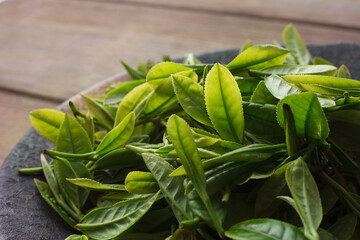 お茶の葉　摘み取り　新茶