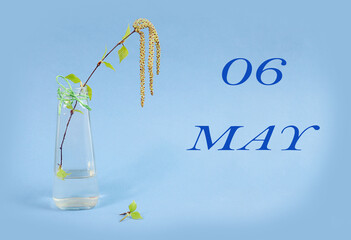 Calendar for May 6: a birch branch in a glass vase on a blue background, the name of the month May in English, the numbers 06