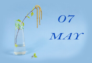 Calendar for May 7: a birch branch in a glass vase on a blue background, the name of the month May in English, the numbers 07