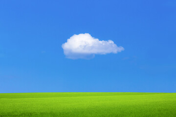 草原と青空にぽっかり雲