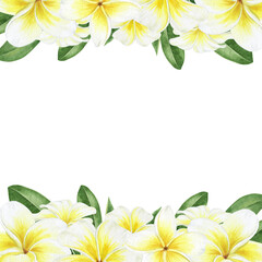 Yellow plumeria flowers. Tropical exotic flowers. Watercolor square frame on a white background. For greeting cards, postcard, scrapbooking, packaging design © Fedulova_art