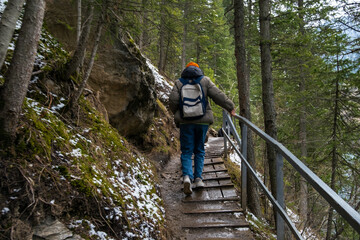 Woman going trough the pine forest. Landscape contains blue lake and mountains. Travel scene, girl has backpack. Kolsay lake, Almaty, Kazakhstan. High quality photo.