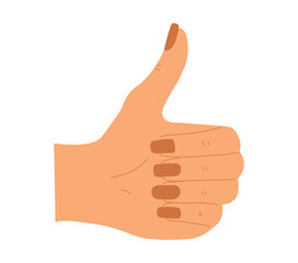 Colored hand gesture thumbs up, vector illustration, isolated on white background, mudra