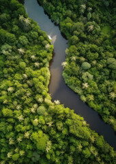 Fototapeta na wymiar Aerial view of a tropical river meander surrounded by lush vegetation, nature's beauty from above, generative ai