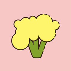 cauliflower icon on pink background.