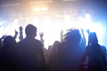Obraz premium Music, lighting and people at concert, dancing and energy at festival from back together at live event. Dance, fun and group of excited fans at stage arena or rock band performance and crowd at party