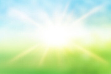 Abstract blurred background of nature.  Summer natural background with sunlight and rays.  The concept of the environment