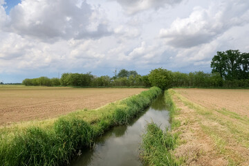 Po Valley landscape field cultivation nature natural agriculture farmhouse tree earth