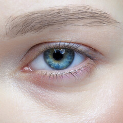 Obraz premium Closeup macro shot of human female eye. Woman with natural face beauty makeup