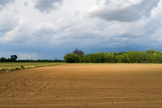 Po Valley landscape field cultivation nature natural agriculture farmhouse tree earth