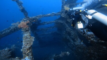 scuba diver in the sea