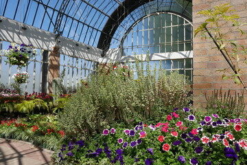 Historisches Gewächshaus Wintergarden Auckland Domain