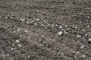 loosened soil outdoors in sunny day.