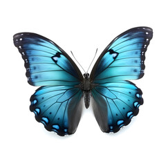Obraz na płótnie Canvas Beautiful blue butterfly in flight isolated on a white background. Generative AI. 