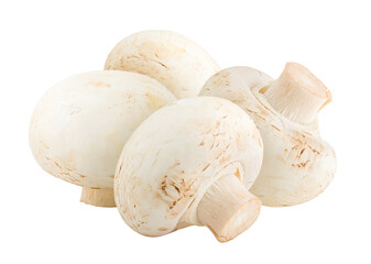 mushroom, champignon, isolated on white background, full depth of field