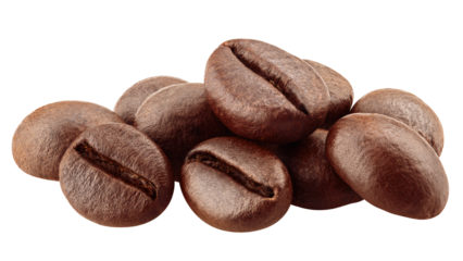 coffee bean isolated on white background, clipping path, full depth of field