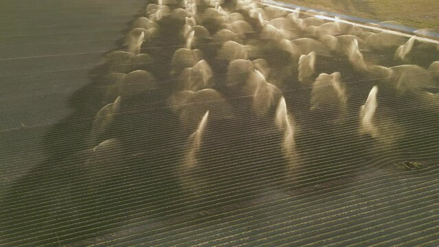 Vista de dron del regad&iacute;o de un campo de cultivo al atardecer.