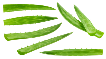 Aloe vera, slice, isolated on white background, full depth of field