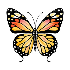 Color watercolor butterfly , isolated on the white background