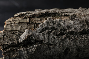 Wooden texture background, close up, concept of different backgrounds